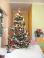 /album/fotogaleria-mikulasske-tajomstvo-13-12-2011/sam-9781-jpg/